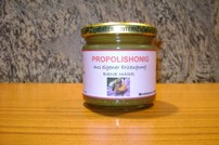 Propolishonig 250g